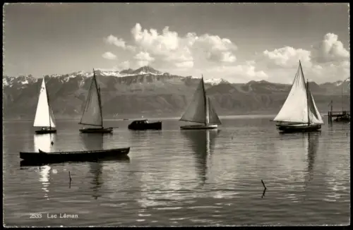 Genf Genève Genfersee (Lac Léman), Segler, Blick zu den Alpen 1952