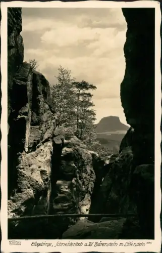 Porschdorf-Bad Schandau Schneiderloch Lilienstein 1942 Walter Hahn:3646