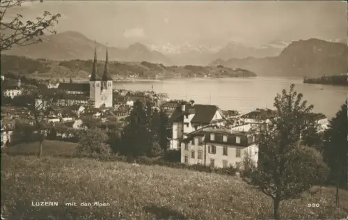 Ansichtskarte Luzern Lucerna Partie am Hang - Fotokarte 1918
