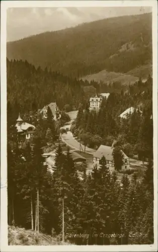 Ansichtskarte Bärenburg-Altenberg (Erzgebirge) Straßenpartie Talblick 1927