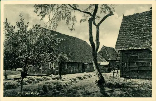 Ansichtskarte .Niedersachsen Aus der Lüneburger Heide Bauernhäuser 1930