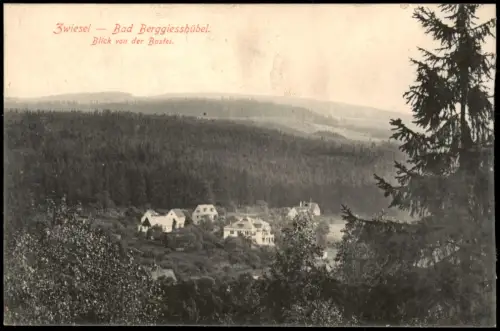 Zwiesel-Bad Gottleuba-Berggießhübel Panorama Blick von der Bastei 1910