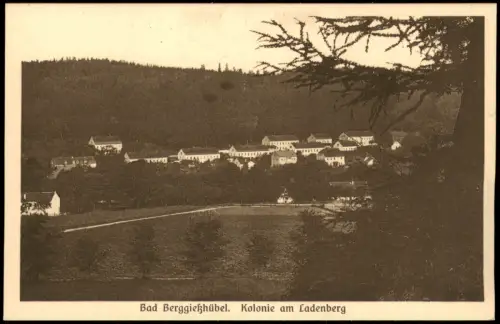 Berggießhübel-Bad Gottleuba-Berggießhübel Kolonie am Ladenberg 1918