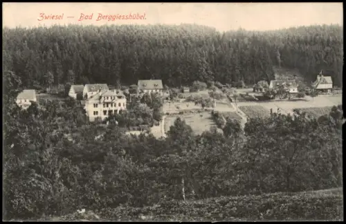 Ansichtskarte Zwiesel-Bad Gottleuba-Berggießhübel Panorama 1917