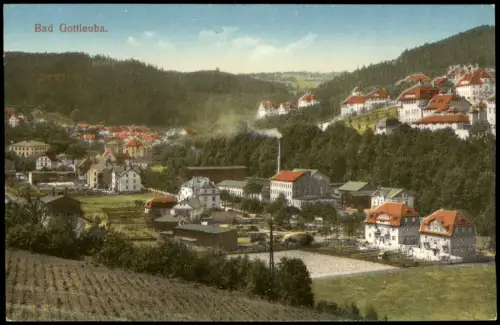 Ansichtskarte Bad Gottleuba-Berggießhübel Panorama mit Fabrik 1914