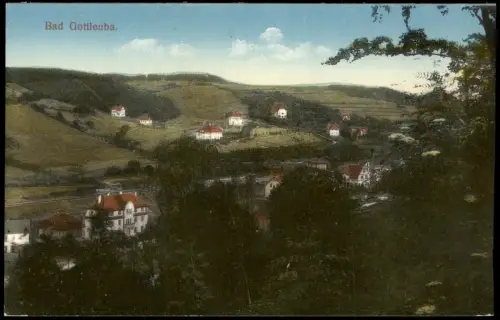 Ansichtskarte Bad Gottleuba-Berggießhübel Stadtblick 1915
