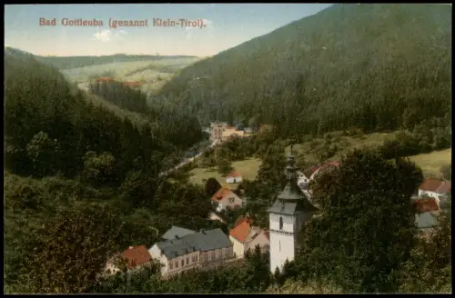 Ansichtskarte Bad Gottleuba-Bad Gottleuba-Berggießhübel Stadtpartie 1912