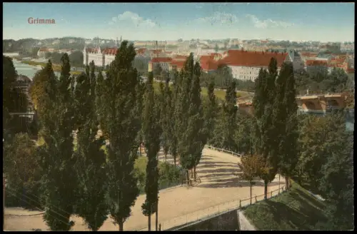 Ansichtskarte Grimma Stadt Straße - Blick auf die Stadt 1915