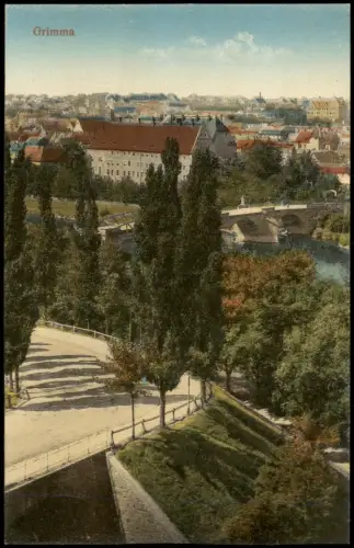 Grimma Blick über die Stadt mit Brücke 1921
