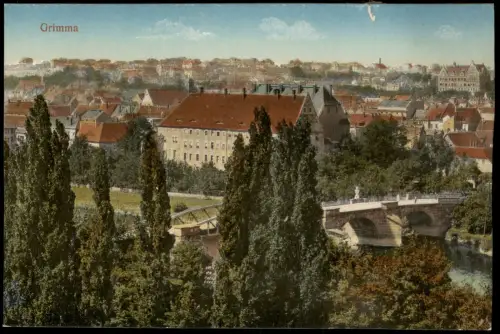Ansichtskarte Grimma Stadt und Brücke 1915