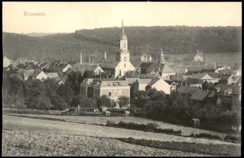 Roßwein Panorama  gel. 1917