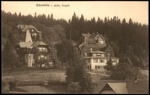 Ansichtskarte Bärenfels (Erzgebirge)-Altenberg (Erzgebirge) Stadtvillen 1927