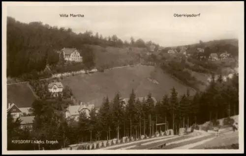 Ansichtskarte Kipsdorf-Altenberg (Erzgebirge) Oberkipsdorf Villa Martha 1927