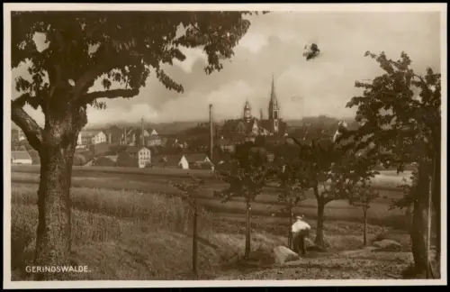 Ansichtskarte Geringswalde Stadt Fabrik - Baumpflanzung 1927