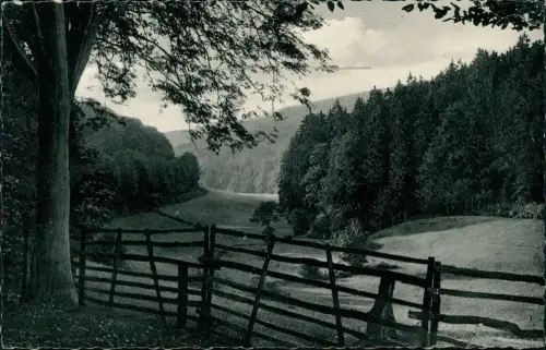 Holzminden Umland-Ansicht Holzmindetal im Solling 1960