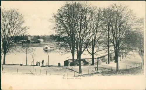 Ansichtskarte Darmstadt Der grosse Woog 1908
