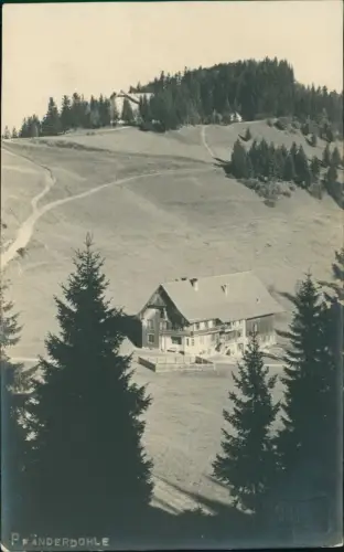Ansichtskarte Bregenz Pfänderdohle 1929