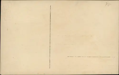 Ansichtskarte Bregenz Pfänderdohle 1929