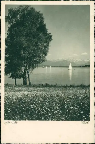Ansichtskarte Starnberg Starnberger See Blumenwiese Segelboote 1930