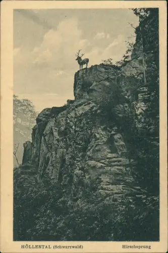 Ansichtskarte Hirschsprung-Breitnau Höllental Schwarzwald - Hirsch 1929