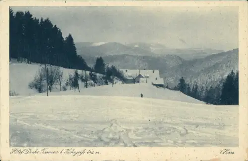 Ansichtskarte Hohegeiß-Braunlage Hotel Dicke Tanne im Winter 1926