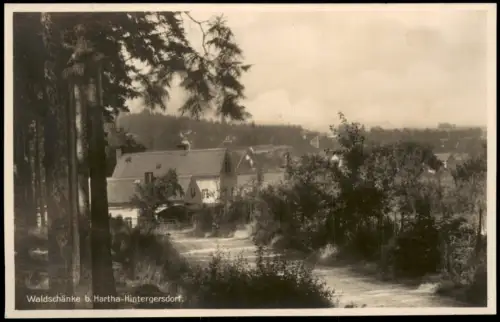 Ansichtskarte Hintergersdorf-Tharandt Partie an der Waldschenke 1927