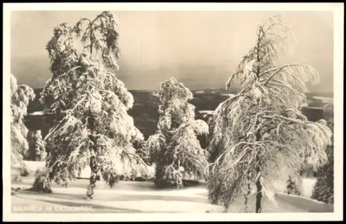 Postcard Moldau Moldava Rauhreif im Erzgebirge Winter 1928