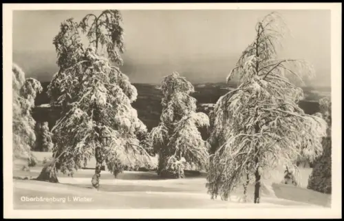 Oberbärenburg-Altenberg (Erzgebirge) Umlandpartie im Winter 1930