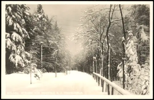 Postcard Moldau Moldava Straße im Wald Winter 1928