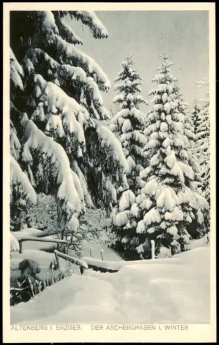 Ansichtskarte Altenberg (Erzgebirge) Der Aschgraben im Winter 1928