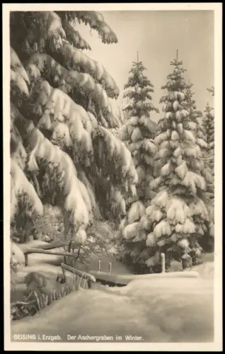 Ansichtskarte Altenberg (Erzgebirge) Der Aschergraben im Winter 1928