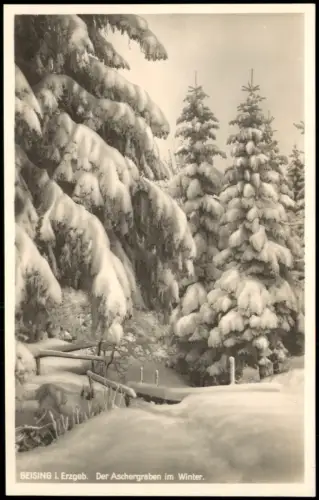 Ansichtskarte Altenberg (Erzgebirge) Der Aschergraben im Winter 1928