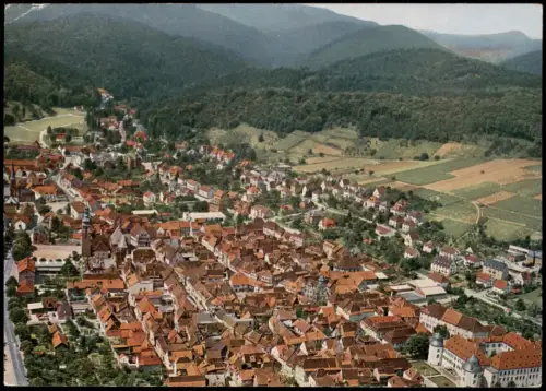 Ansichtskarte Bergzabern Luftbild Luftaufnahme Ort a.d. Weinstraße 1966