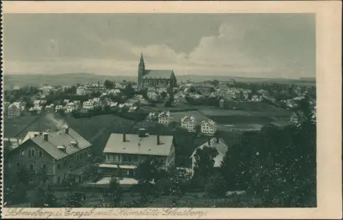 Schneeberg (Erzgebirge) Panorama-Ansicht mit Heimstätte Gleasberg 1920
