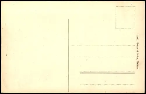 Ansichtskarte Leisnig Stadt Ruderer 1912