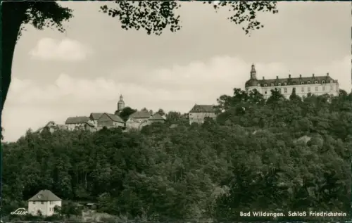 Ansichtskarte Bad Wildungen Stadt und Schloß Friedrichstein 1962