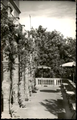 Cartolina Alassio RIVIERA dei FIORI ALASSIO HOTEL METROPOLE 1960