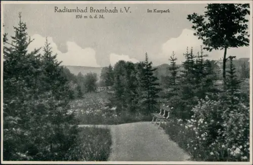 Ansichtskarte Bad Brambach Umland-Ansicht Radiumbad Im Kurpark 1920