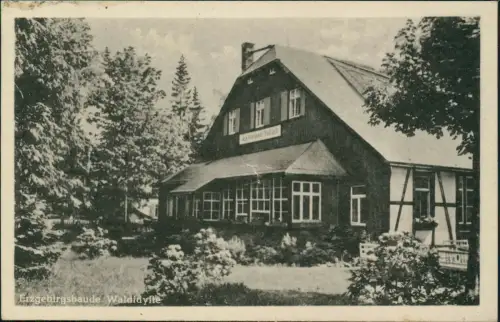 Oberbärenburg-Altenberg (Erzgebirge) Erzgebirgsbaude Waldidylle 1953