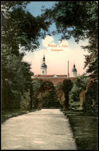 Ansichtskarte Riesa Stadtpark Weg 1909