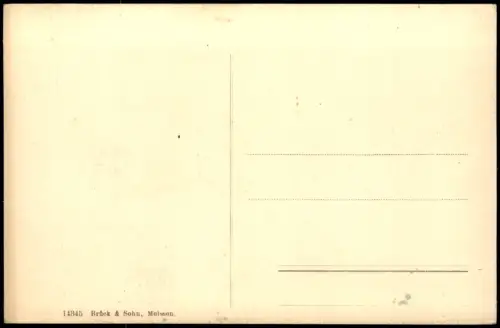 Ansichtskarte Riesa Stadtpark Weg 1909