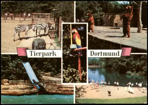 Dortmund Tierpark Tiere u.a. Zebra, Bären, Papagei Mehrbild-AK 1975