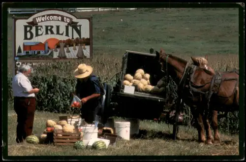 USA  America Berlin, Ohio's Amish Country Farmers Bauern Landwirte Amerika 1998
