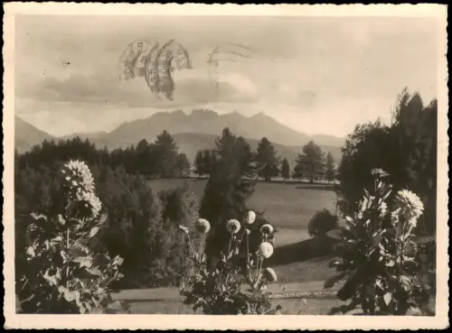 Cartolina Bozen Bolzano HOTEL PENSIONE HAESSIG COLLE RENON 1956/1950