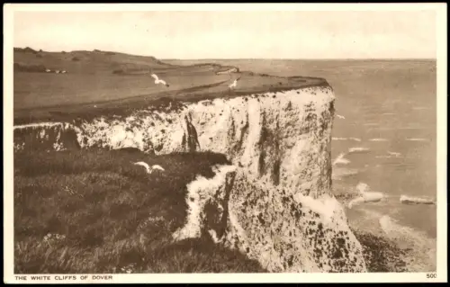 Postcard Dover THE WHITE CLIFFS OF DOVER 1950