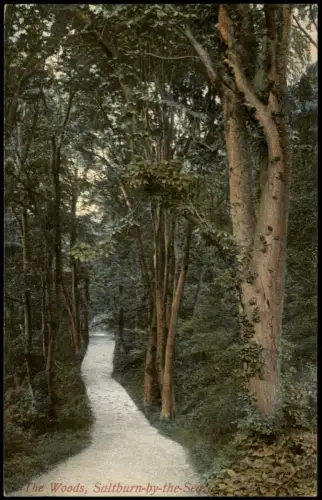 Postcard .Großbritannien The Woods Saltburn-by-the-Sea in England 1910