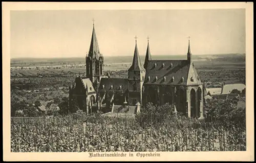 Ansichtskarte Oppenheim Panorama-Ansicht Katharinenkirche in Oppenheim 1920