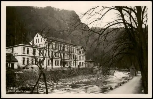 Ansichtskarte Thale (Harz) Partie Harz Hotel Waldkater 1940