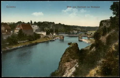 Ansichtskarte Grimma Blick vom Stadtwald ins Muldental 1915