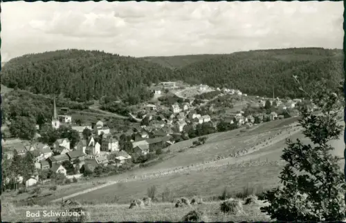 Ansichtskarte Bad Schwalbach Langenschwalbach Stadtblick 1968